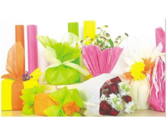 NON WOVEN 30CMX20MT - Image 2