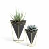 SET OF 2 TRIGG TABLETOP BLACK/BRASS 11X9.8X14.3CM & 15.5X14X20.3CM - Image 2
