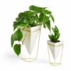 SET OF 2 TRIGG TABLETOP WHITE/BRASS 11X9.8X14.3CM & 15.5X14X20.3CM - Image 2