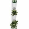 FLORALINK WALL VASE WHITE 10.16X69.22CM 3PCS