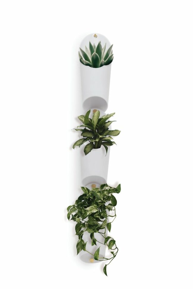 FLORALINK WALL VASE WHITE 10.16X69.22CM 3PCS