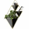 TRIGG LARGE WALL VASE/DISPLAY 22.2X9.5X38.7CM - Image 4