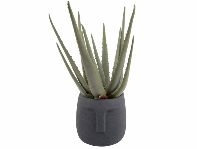 PLANT POT FACE CEMENT 12.5X14CM - Image 4