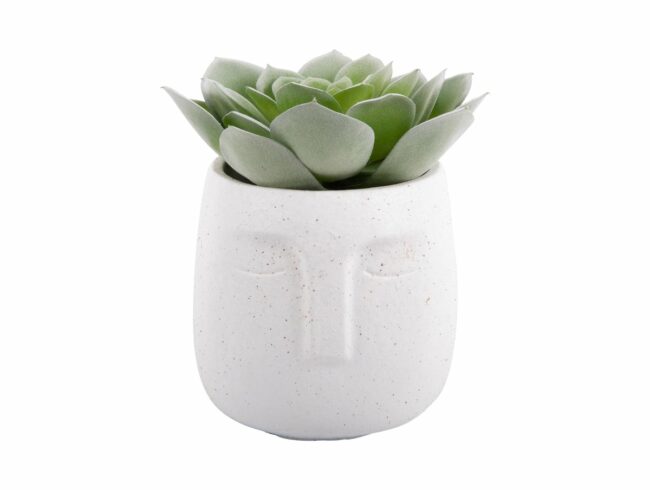 PLANT POT FACE CEMENT 12.5X14CM - Image 2