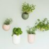 WALL PLANT POT GLOBE CERAMIC D14,5XH9,8CM