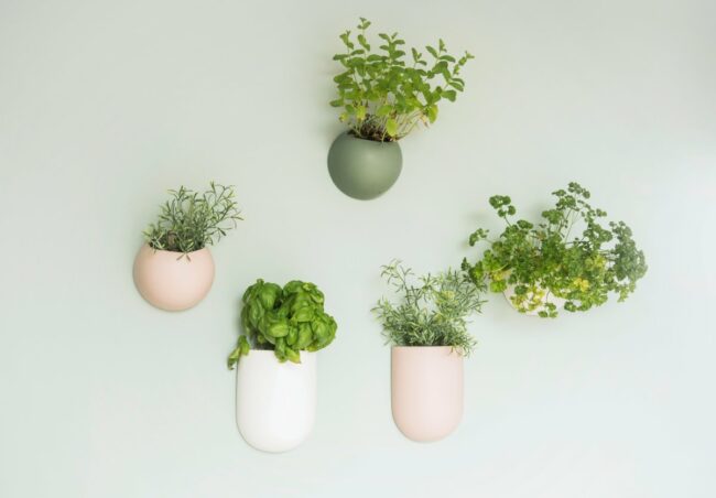 WALL PLANT POT GLOBE CERAMIC D14,5XH9,8CM