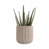PLANT POT STRIPES CEMENT LARGE IVORY 15X15CM - Image 2