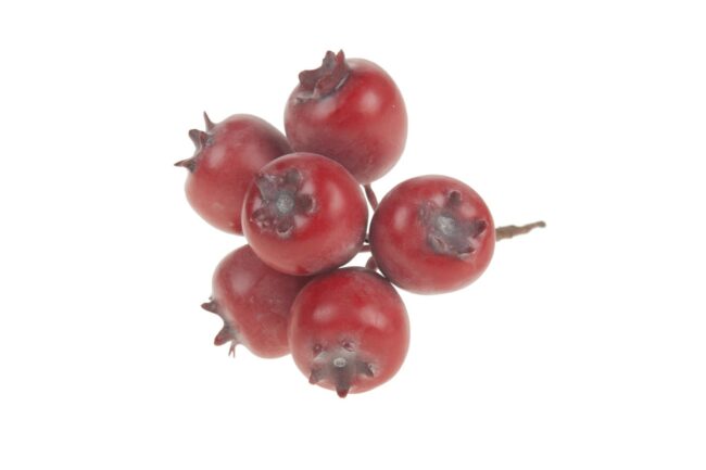 X-MAS POMEGRANATE BUNDLE RED 5X6X6CM - 8 PCS