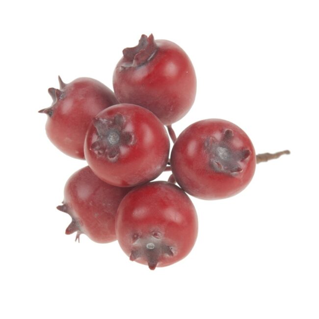 X-MAS POMEGRANATE BUNDLE RED 5X6X6CM - 8 PCS
