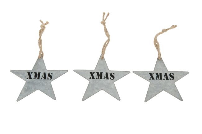 CHRISTMAS STAR NATURAL 10CM 10 PCS