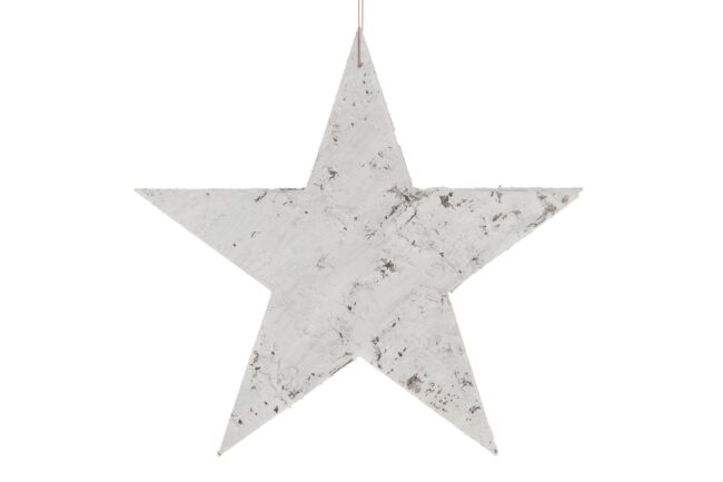 X-MAS BIRCH STAR HANGING 25X25X0.5CM