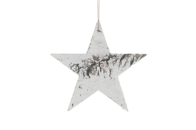 X-MAS BIRCH HANGING STAR 15X15X0.5CM