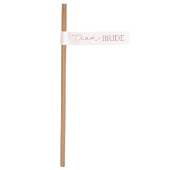 TEAM BRIDE FLAG HENS PARTY STRAWS ROSE GOLD 16PCS
