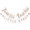 TWINKLE TWINKLE ROSE GOLD BABY SHOWER BUNTING