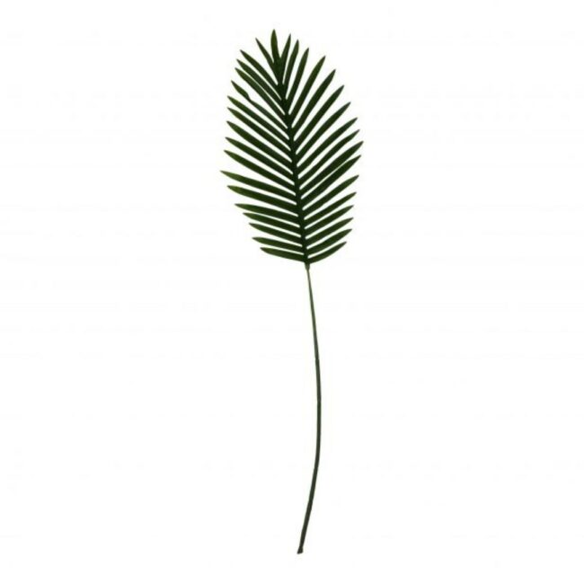 PALM LEAF 23 X 1 X 80 CM