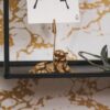CARDHOLDER TIGER GOLD 8.5X5X9.5CM