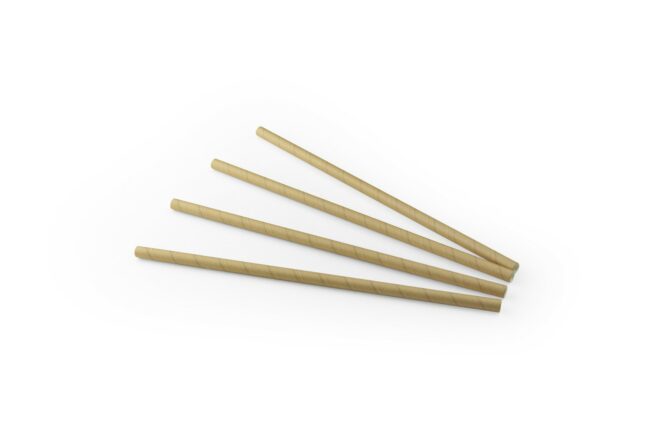 STRAIGHT STRAW PAPER KRAFT 8MMx24CM 100PCS