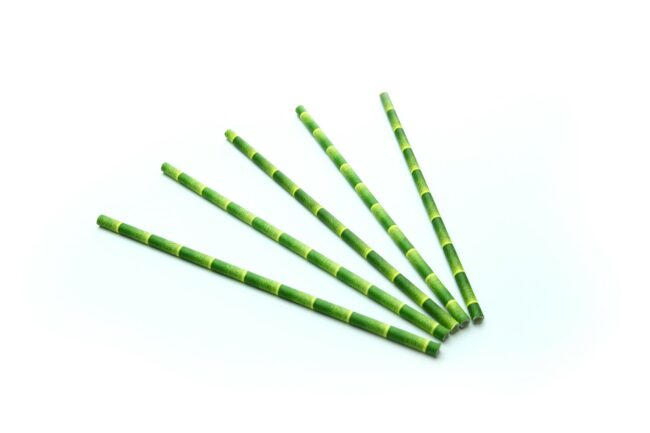 STRAIGHT PAPER STRAW BAMBOO LOOK D6mmX20CM 200PCS