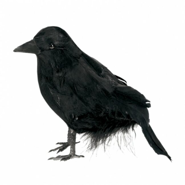 FEATHERED RAVEN 10.1CM