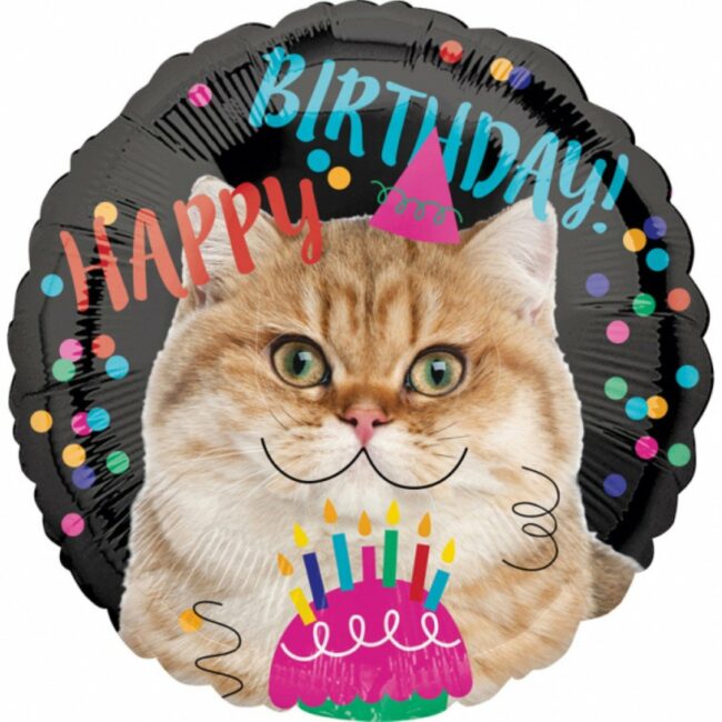 STANDARD HAPPY BIRTHDAY CAT FOIL BALLOON ROUND S40 - 43CM