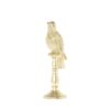 COCKATOO INDY GOLD 33CM