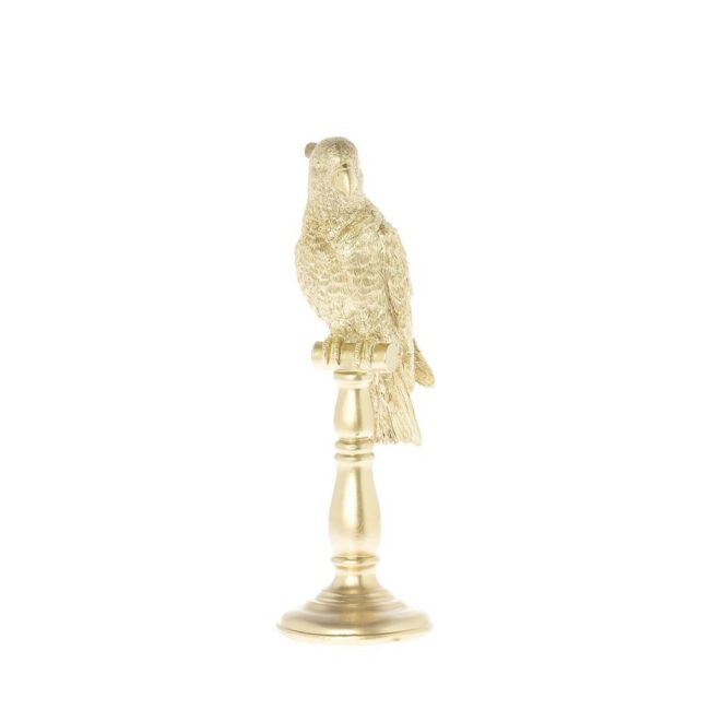 COCKATOO INDY GOLD 33CM