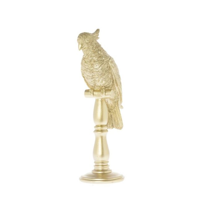 COCKATOO INDY GOLD 41CM