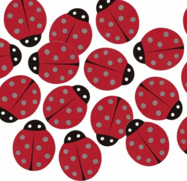 CONFETTI LADYBUG 24G