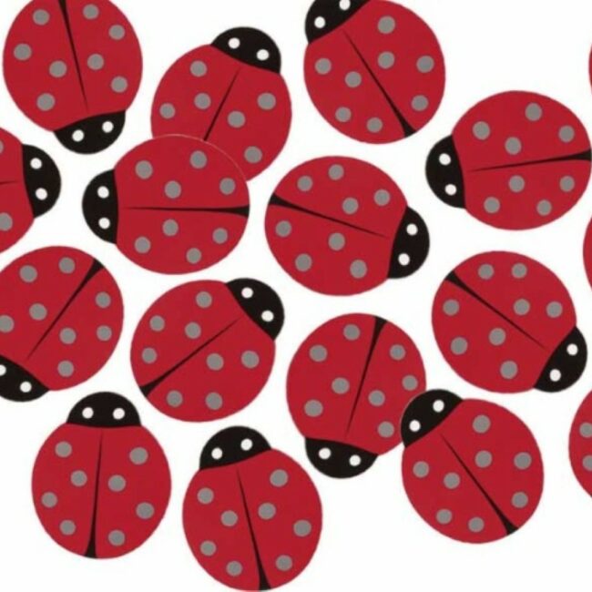 CONFETTI LADYBUG 24G