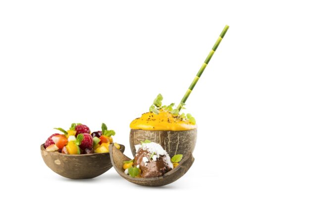 COCONUT BOWL ROUND 130x90MM 200ML 10PCS - Image 2