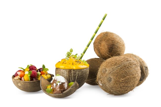 COCONUT BOWL ROUND 130x90MM 200ML 10PCS - Image 3