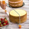 DIVIDE CAKE 445X144X20MM - Image 3