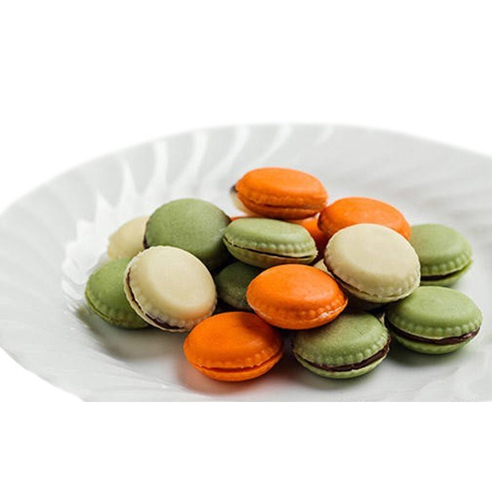 EASY CHOCOLATE SILICONE MOULD SCG21 MACARON