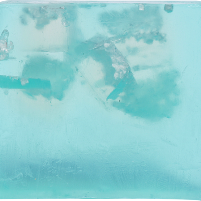 DEAD SEA SALT SOAP