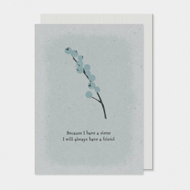 BERRY CARD - BECAUSE I HAVE A SISTER 12X16.5X0.1CM