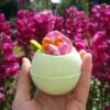 FLUTTER BY, BUTTERFLY BATH BLASTER - Image 4