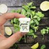 MINT TO BE LIP BALM - Image 2