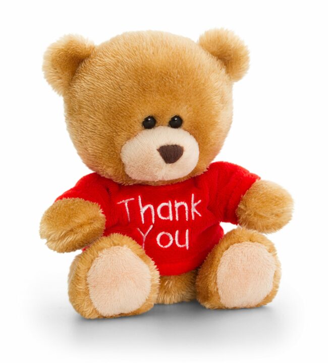 PIPP THE BEAR THANK YOU 4ASS 14CM - Image 5