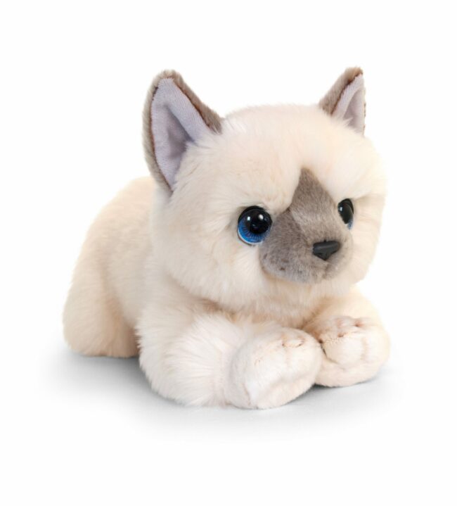 SIGN CUDDLE KITTEN 4ASS 25CM - Image 2
