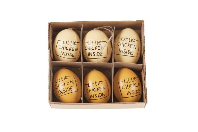 HEN'S EGGS "LITTLE CHICKEN INSIDE" 6PCS