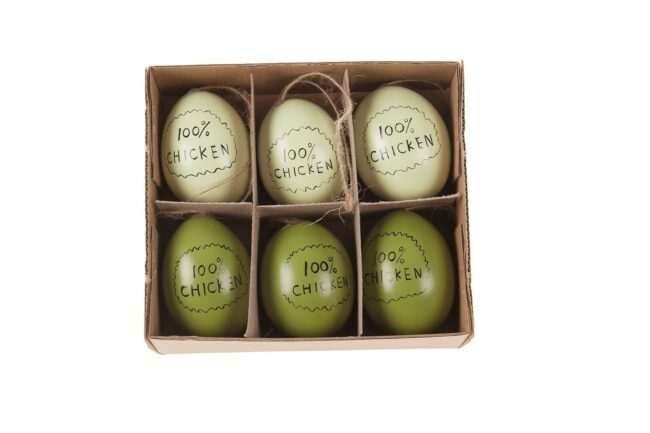 HEN'S EGGS "100% CHICKEN" GREEN 6PCS