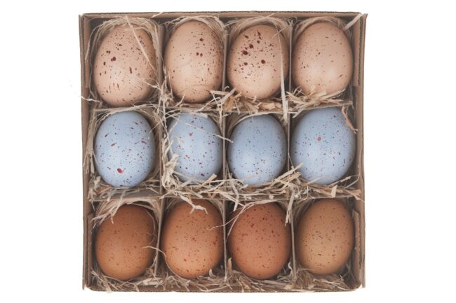 HEN'S EGGS MIXED 12PCS