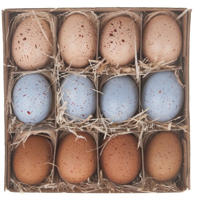 HEN'S EGGS MIXED 12PCS