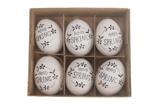 HEN'S EGGS SPRING WHITE/BLACK 6PCS