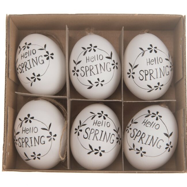 HEN'S EGGS SPRING WHITE/BLACK 6PCS