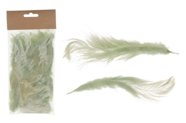 CHICKEN FEATHERS MINT GREEN 10 PIECES