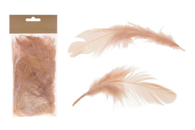 CHICKEN FEATHERS LIGHT PINK 10 PIECES