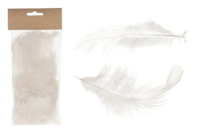 CHICKEN FEATHERS WHITE 10 PIECES