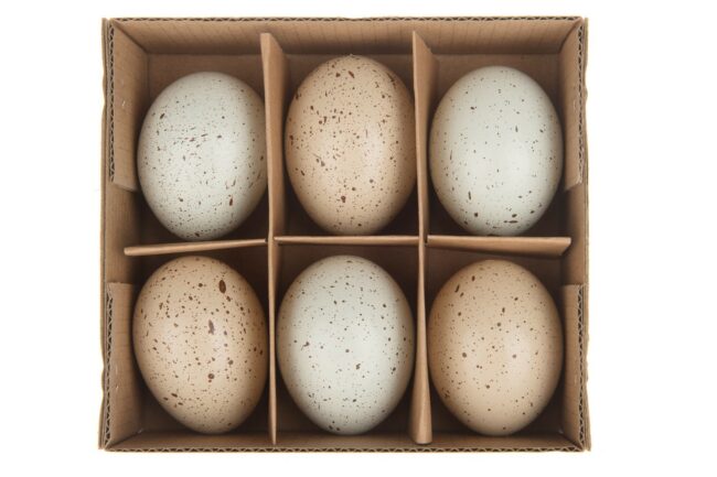 HENS EGGS NATURAL 6CM 6PCS