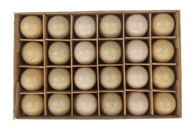 HEN'S EGGS ARTIFICIAL NATURAL 5CM 24PCS